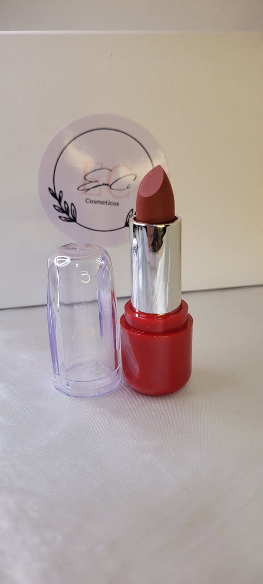 Labial matte #lipsstick