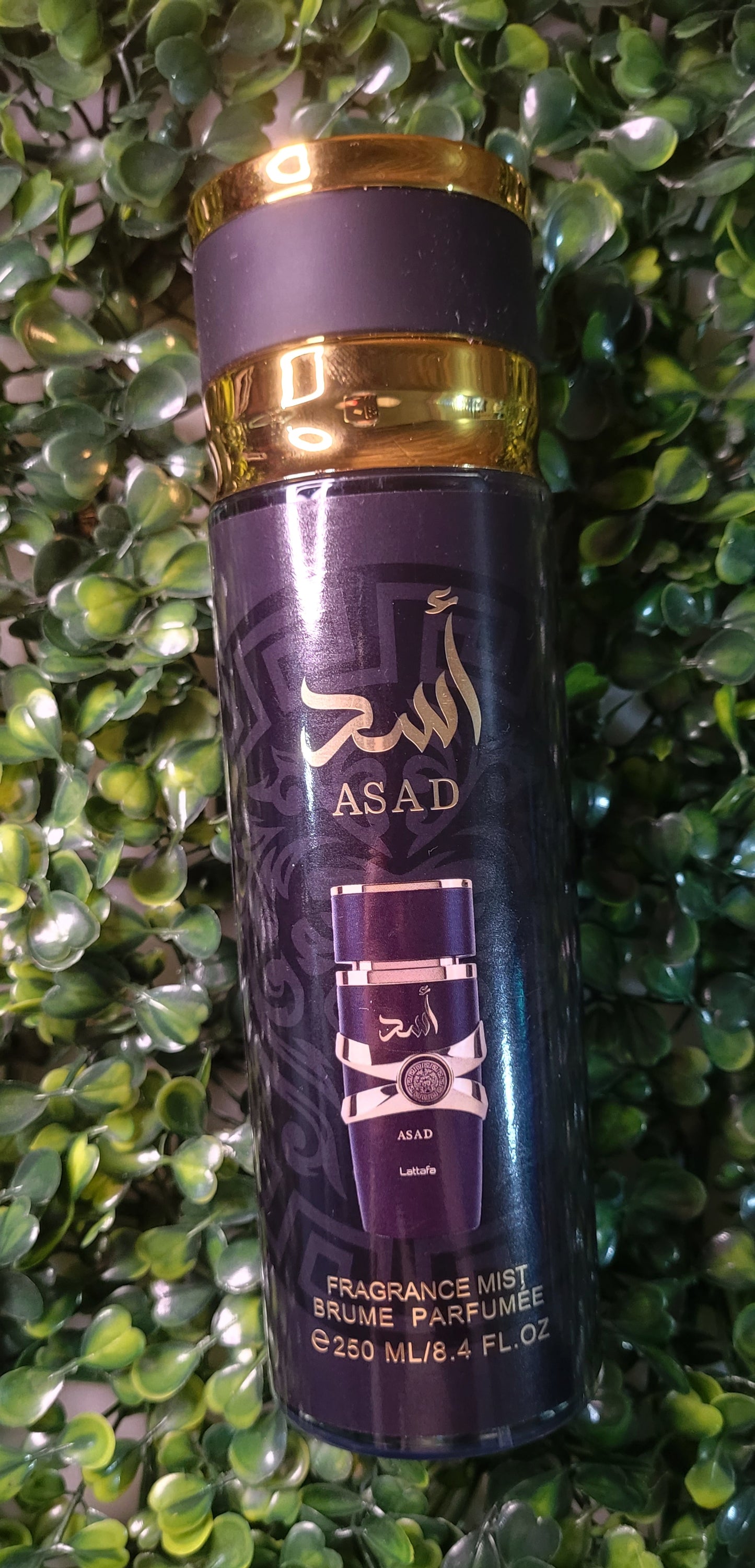 Mist corporal ASAD